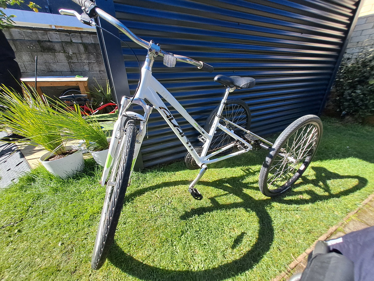White single speed Trike (Teen/Adult)