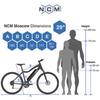 NCM Moscow Plus