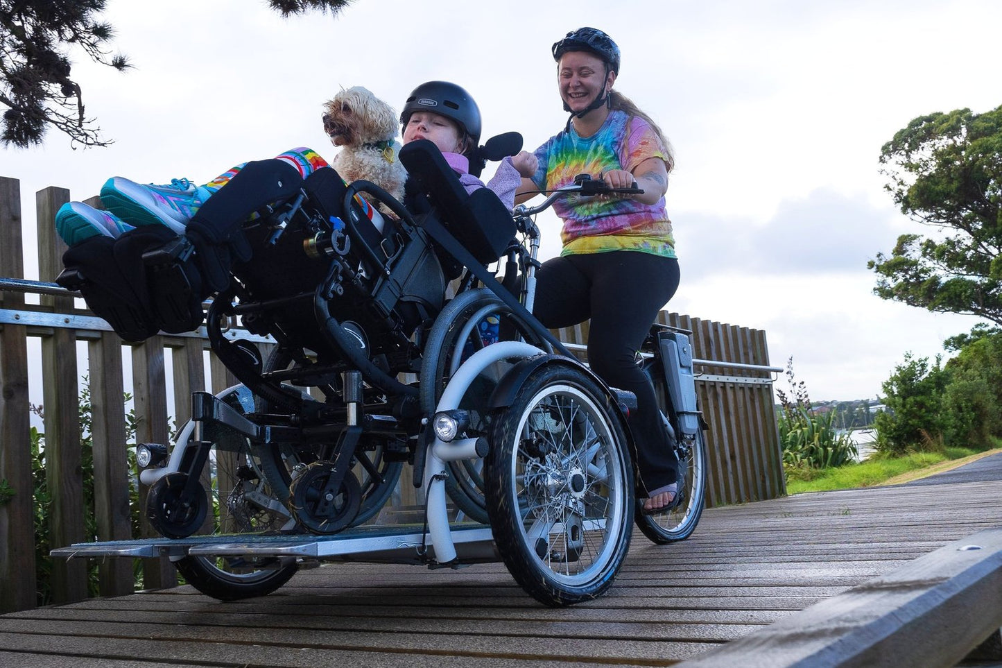 Velo-Plus Wheelchair Trike