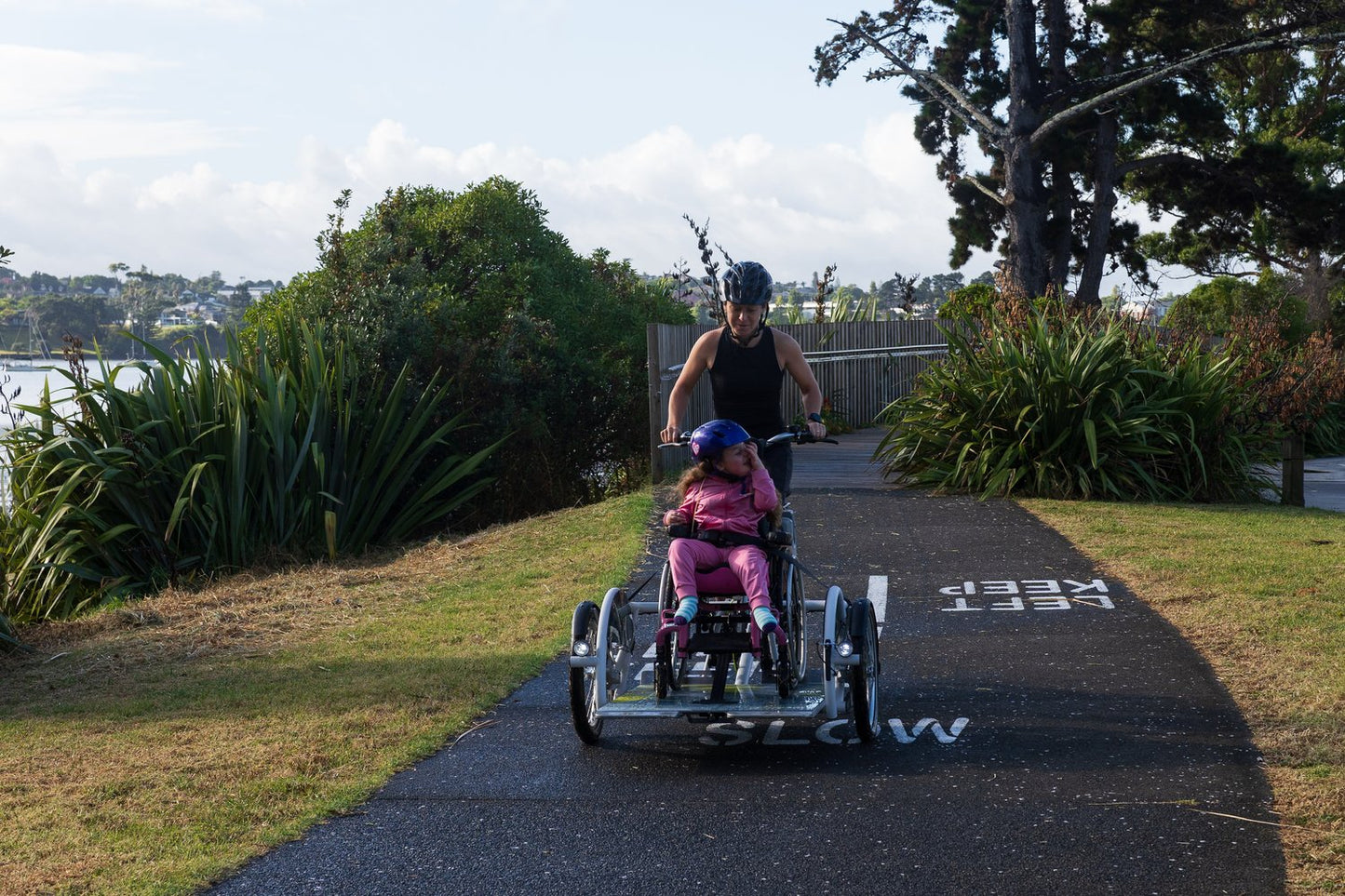 Velo-Plus Wheelchair Trike