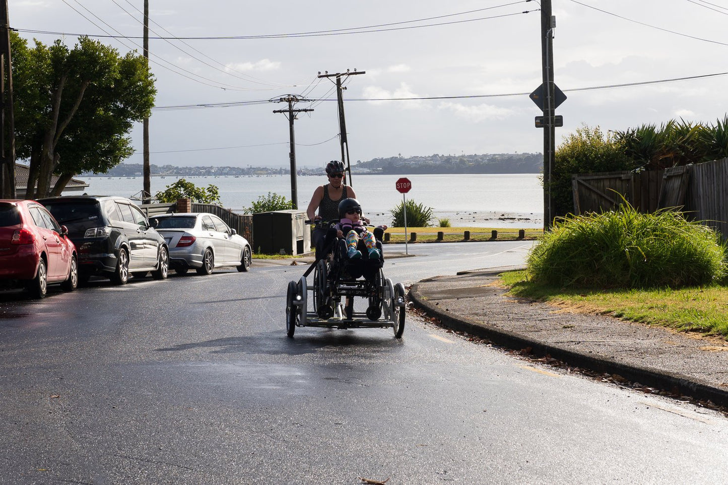 Velo-Plus Wheelchair Trike