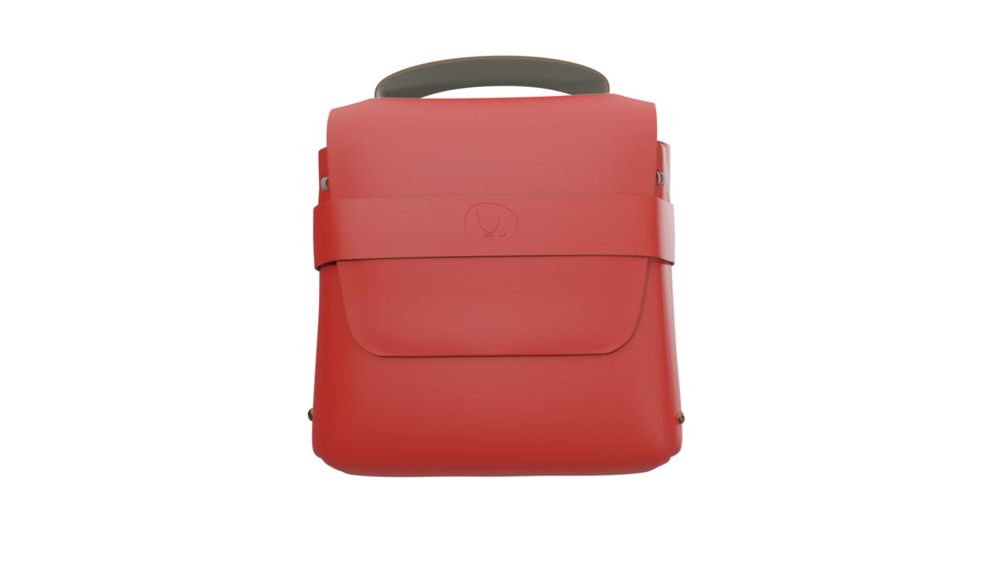 Wishbone Bag and Bag strap