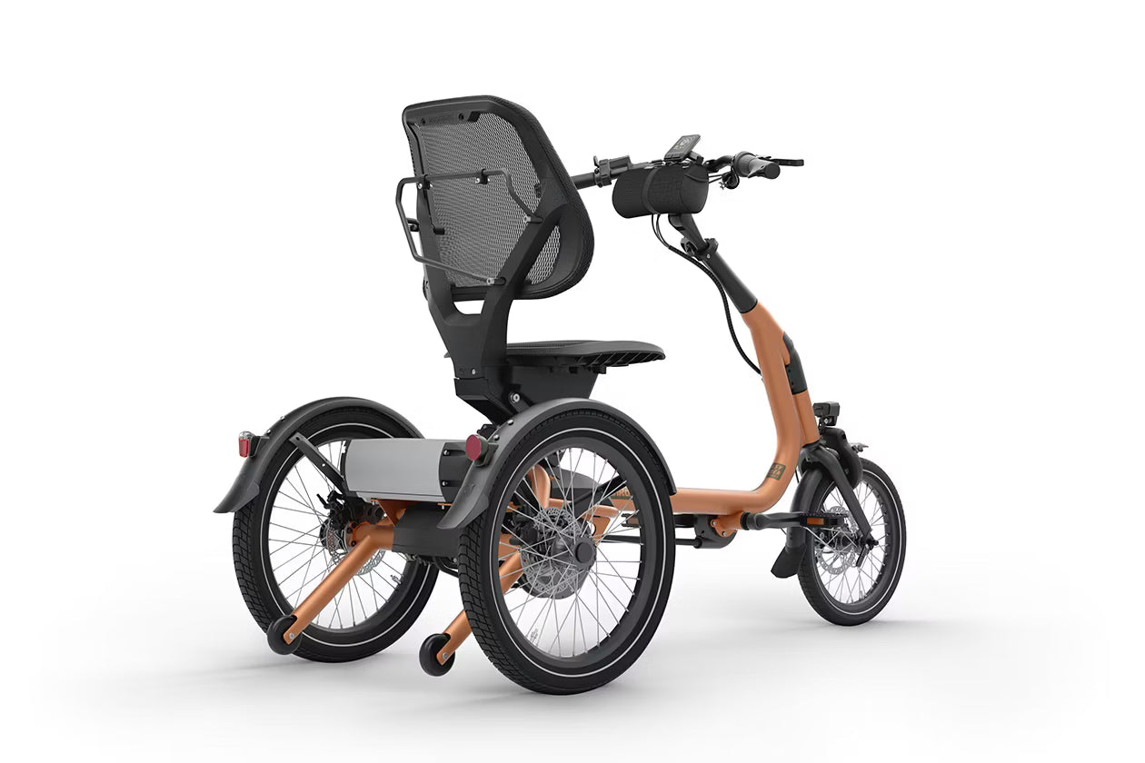 Easy Rider tricycle