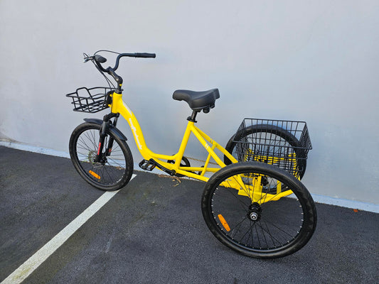 non-electric adult tricycle