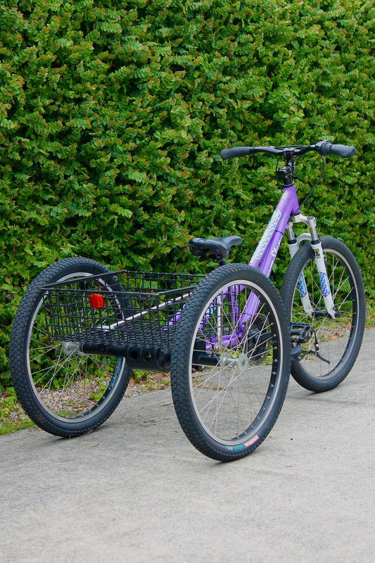 Purple Kids Trike
