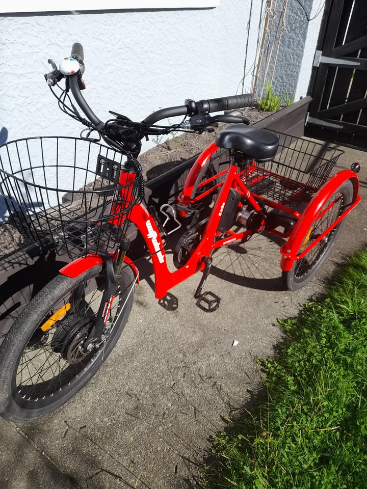 LS City E-Trike - Selling On Behalf  (Nelson)