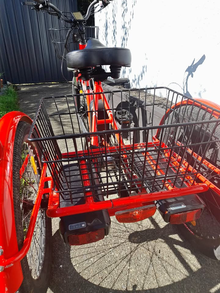 LS City E-Trike - Selling On Behalf  (Nelson)