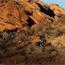 Orox adventure cargo bike