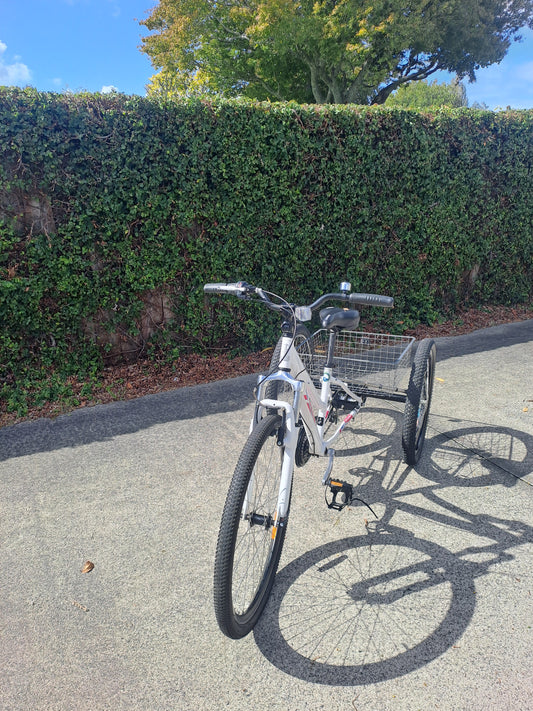Second hand non electric adult trike