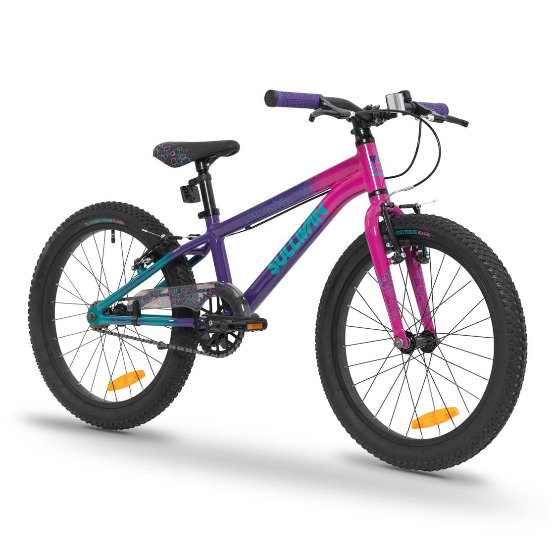 Sullivan Biomechanix V4 20" Kids Bike