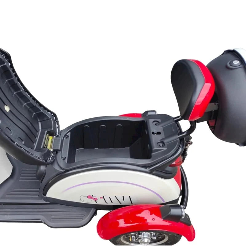 TM4 (TCAT) - Electric Mobility Plus Tricycle