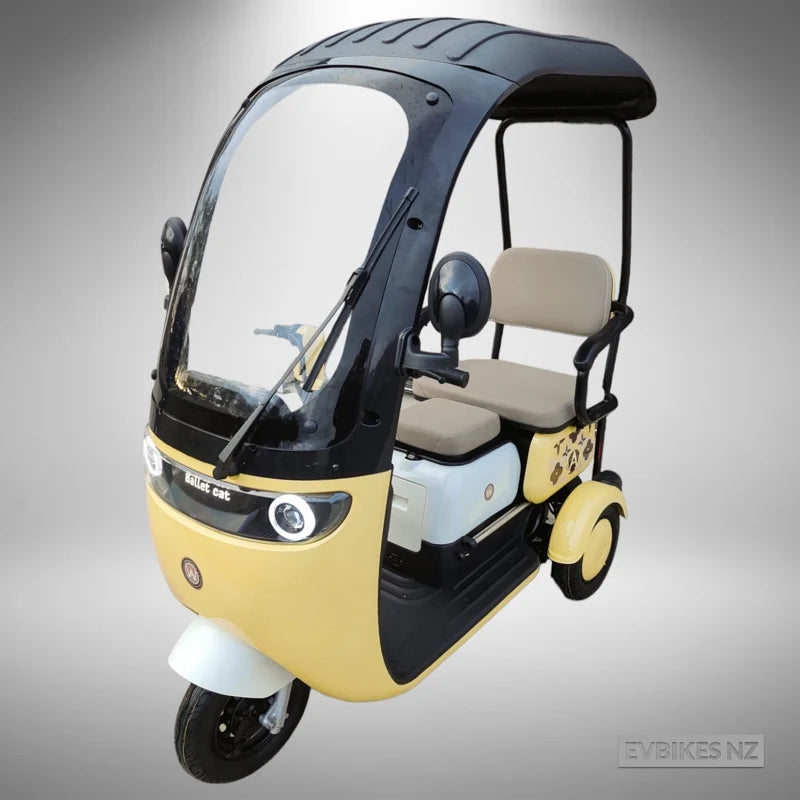 TM7 (AW Protector) - Electric Mobility Plus Tricycle with Canopy